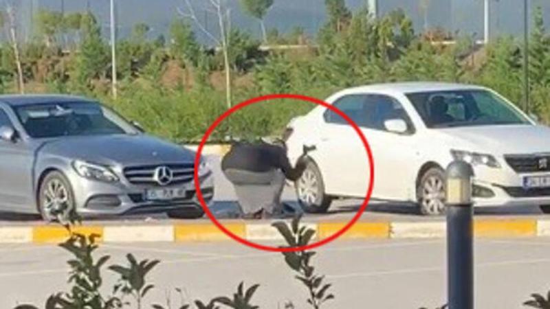 Tartıştığı adamı tabancayla yaralayıp ardından darbeden kadın gözaltında