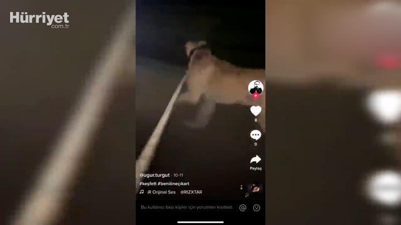 Emre Sayar'ın daha önce de köpeğe eziyet ettiği görüntüler ortaya çıktı