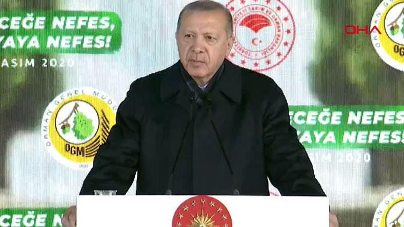 Son dakika… Cumhurbaşkanı Erdoğan’dan önemli açıklamalar
