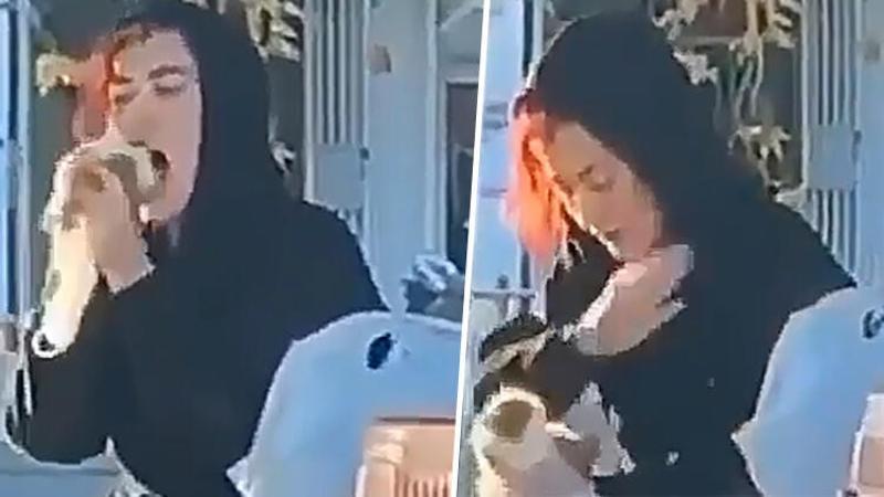 Sokakta hamsterı tokatlayıp, ısırmaya kalkışan kadına para cezası
