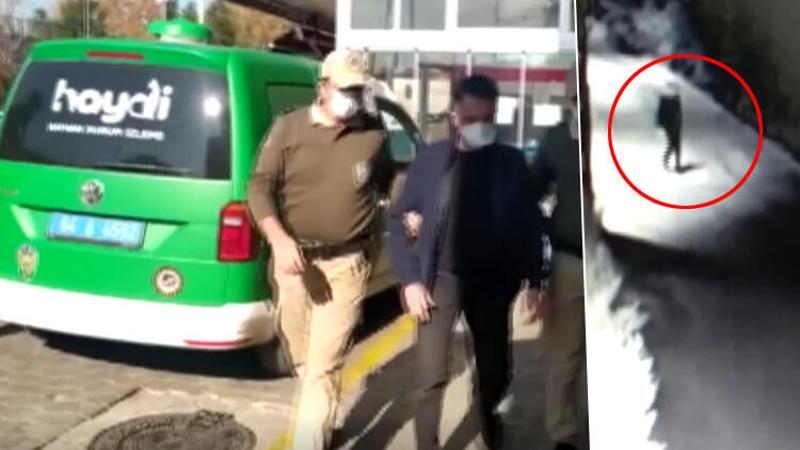 Alkolün etkisiyle sokak köpeğini öldürdü