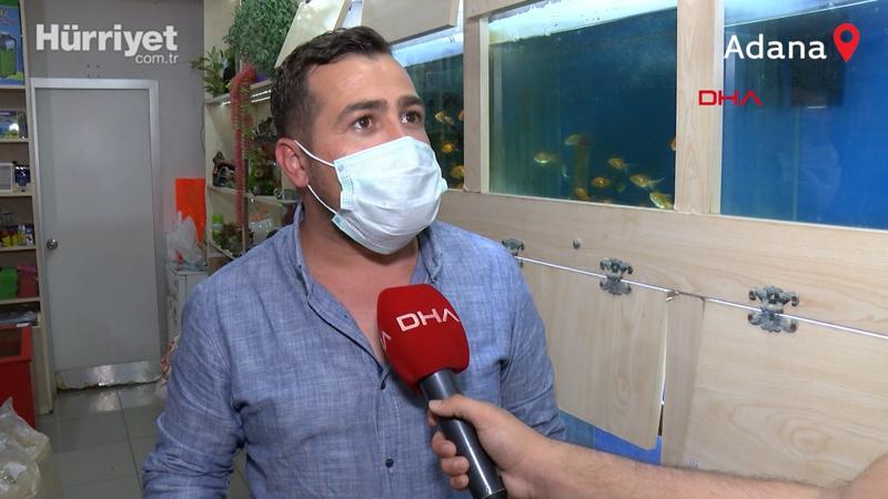 İnternetten hayvan satanlara pet marketlerden tepki. Bisikletle bile takas ediyorlar! Yılan, baykuş, akrep satıyorlar...