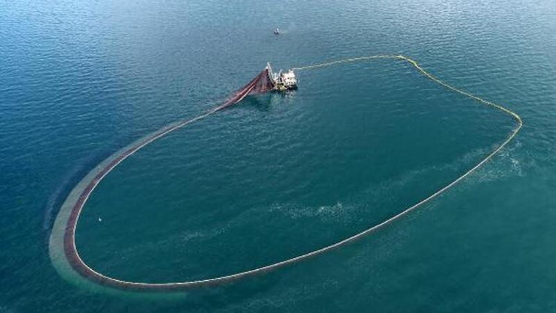 Karadeniz'de balıklar tersine göçe başladı