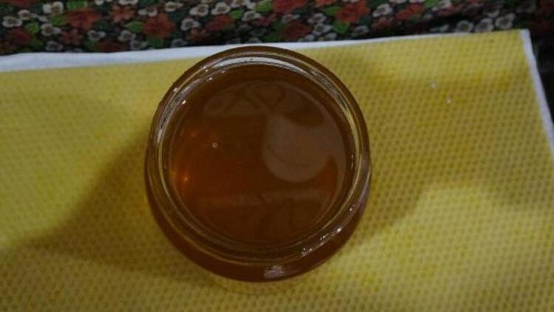 Karadeniz'de, 'deli bal' tehlikesi