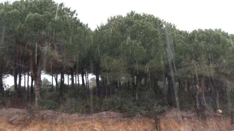İstanbul'da beklenen kar yağışı başladı