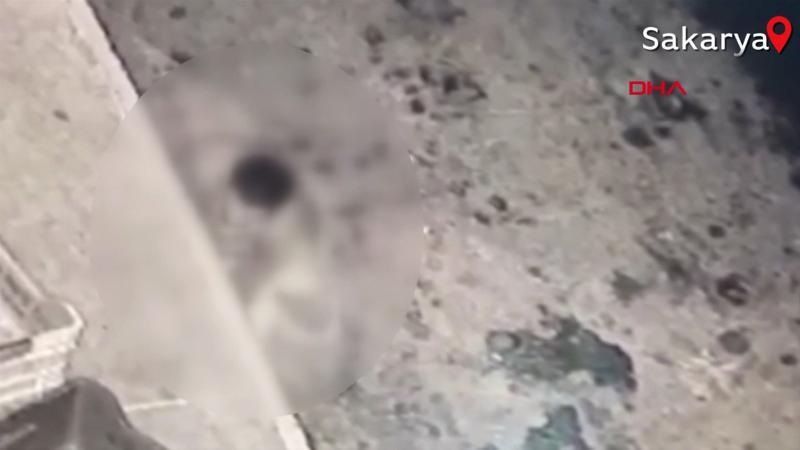 Sakarya'da köpeğe taciz anı kameralara yansıdı