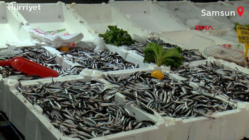 Hamsi avı yasağının 1 yıl uzatılması çağrısı