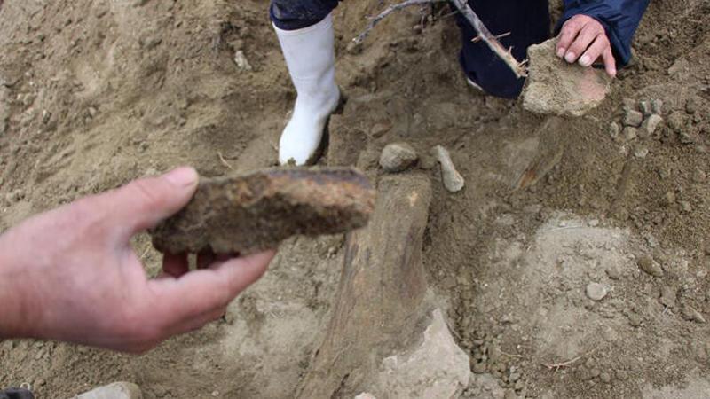 Suluova ilçesinde içme suyu arayan köylülerin kazı yaptıkları alanda tesadüfen taşlaşmış cisimler bulundu