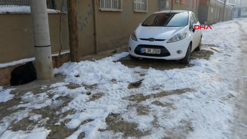 Hava sıcaklıklarının düşmesi sonucu sokakta güvercinin telef olduğunu gördü