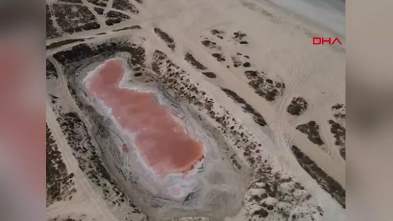 Birleşik Arap Emirlikleri'nde bir öğrencinin keşfettiği 'Pembe Göl' görenleri şaşırttı