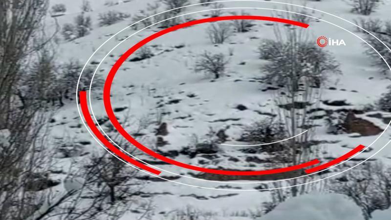 Dikkat çeken görüntü! Hakkari'de sürü halinde kameraya kaydedildi