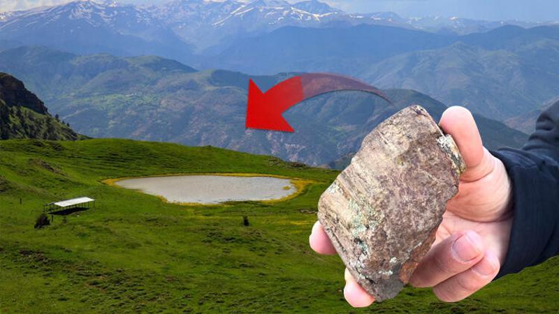 Gümüşhane'de 160 milyon yıllık ağaç fosillerinde yeni türler bulundu
