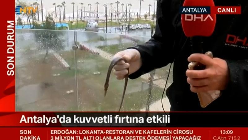 Şiddetli fırtına, denizdeki balığı balkona fırlattı