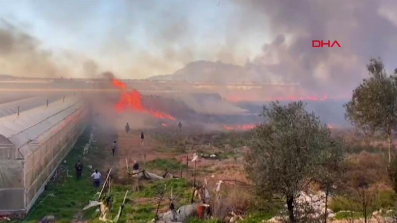 Antalya'da sazlık alanda yangın çıktı
