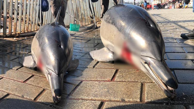 Karaköy İskelesi'nde yürek burkan görüntü