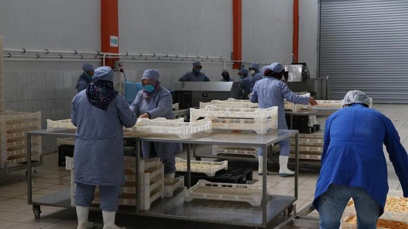 İtalya'da gördüğü meyve ve sebze kurutma tesisini Niğde'de kurarak yurt dışına açıldı