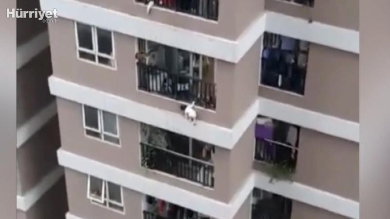 Vietnam'da 12'nci kattan düşen küçük kızı kurye kurtardı