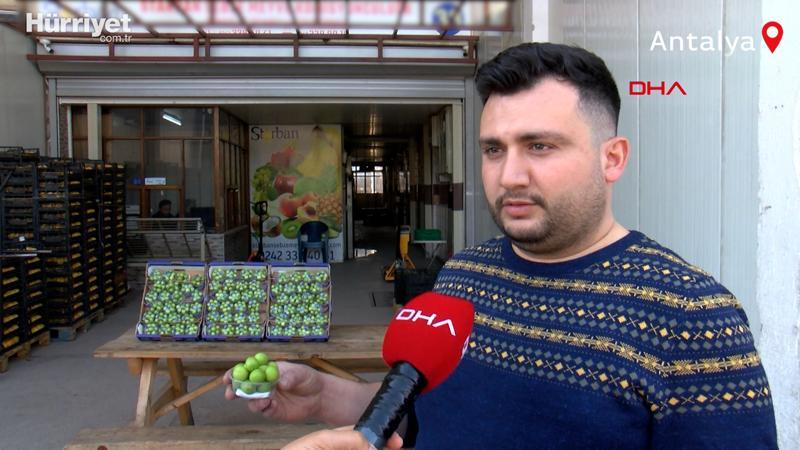 Çeyrek altından pahalı eriği görenler yalnızca fotoğrafını çekebildi