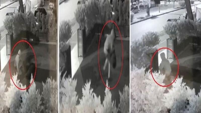 İş yeri önündeki halının çalınması güvenlik kamerasında