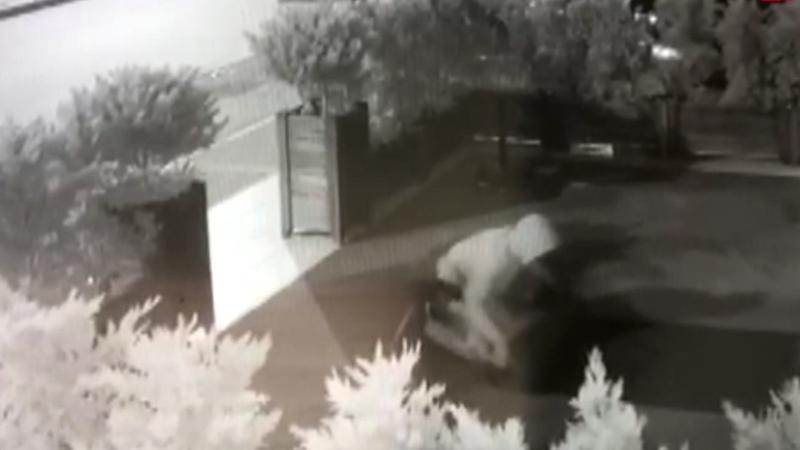 İş yeri önündeki halının çalınması güvenlik kamerasında