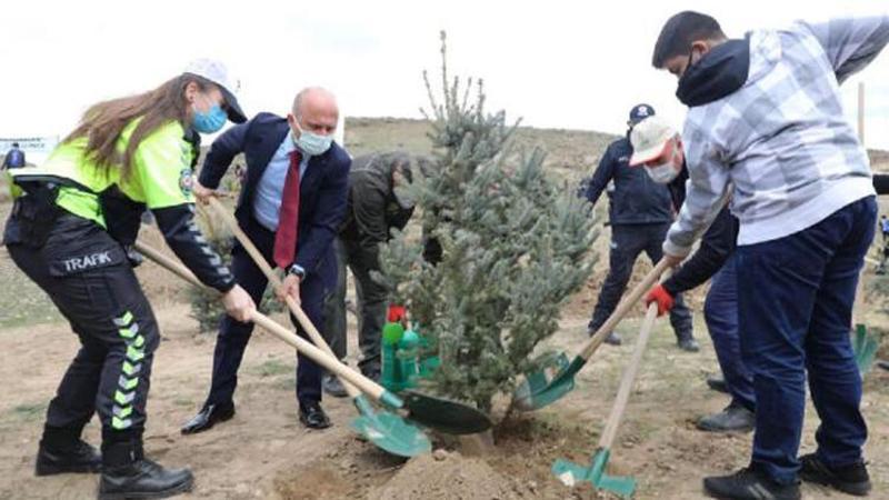 Ağrı'da polisler şehit meslektaşlarının anısına fidan dikti