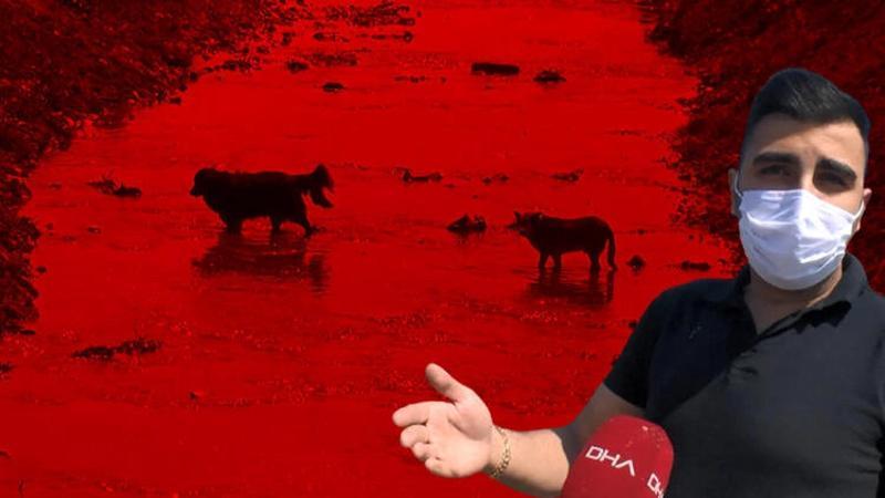İstanbul'da atıklar nedeniyle dere turuncuya boyandı