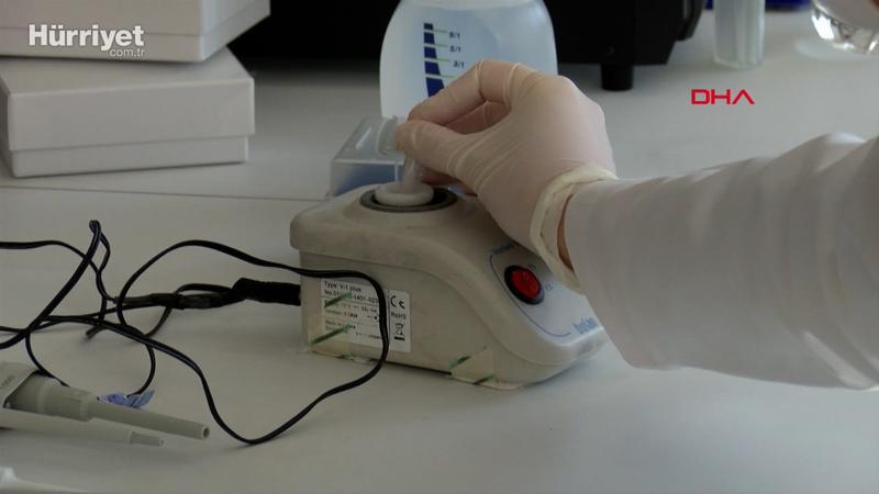 Bazı kovid vakalarında birleşik mutasyon belirtisi