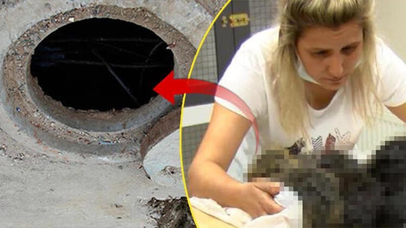 Ankara'da foseptik çukurunda 6 yavru köpek bulundu