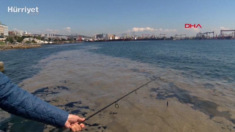 Tuzla sahilini deniz salyası kapladı
