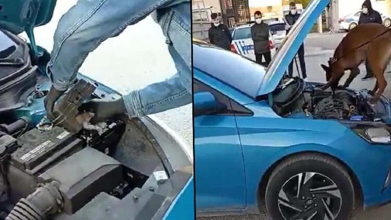 Çanakkale'de Otomobildeki 100 gram kokaini narkotik köpeği 'Lina' buldu