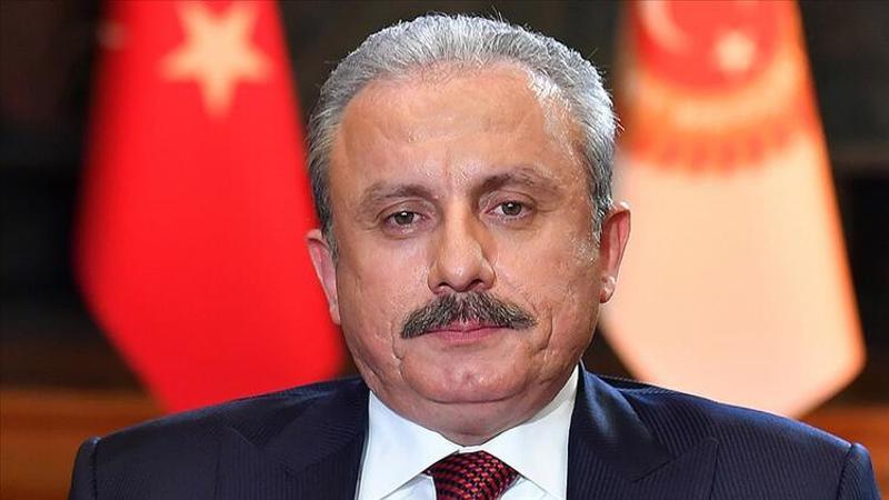 TBMM Başkanı Şentop, YTB Başkanı Eren ve Almanya'dan gelen STK yöneticilerini kabul etti