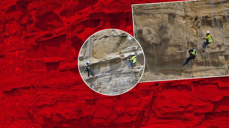 Silivri'de kuşları öldüren çelik ağlar kesiliyor
