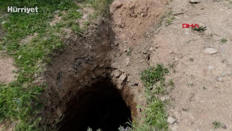 Sultangazi'de defineciler ormanı delik deşik etti; devasa çukurlar açtı