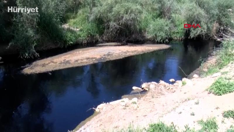 Tarım alanlarını besleyen Alaşehir Çayı siyah akıyor