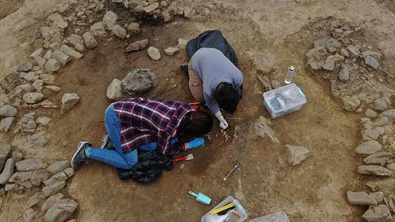 Dünya göç haritasını değiştirebilecek bulgular