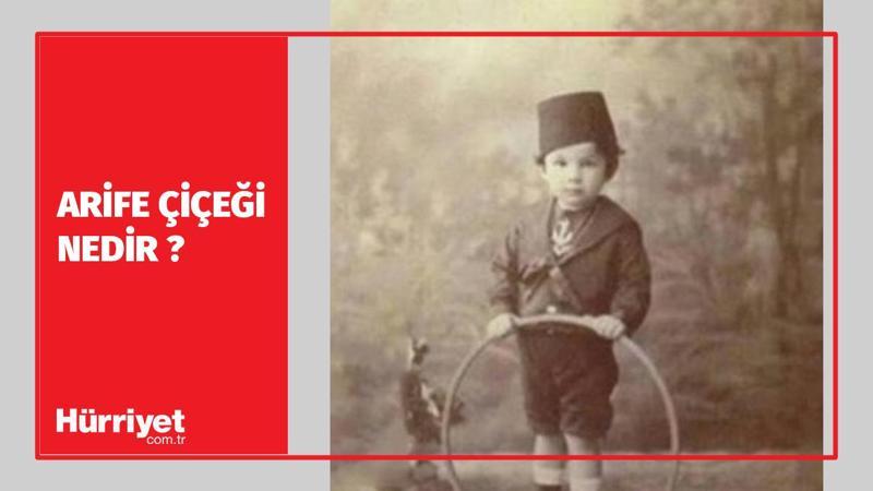 Arife Çiceği Nedir?