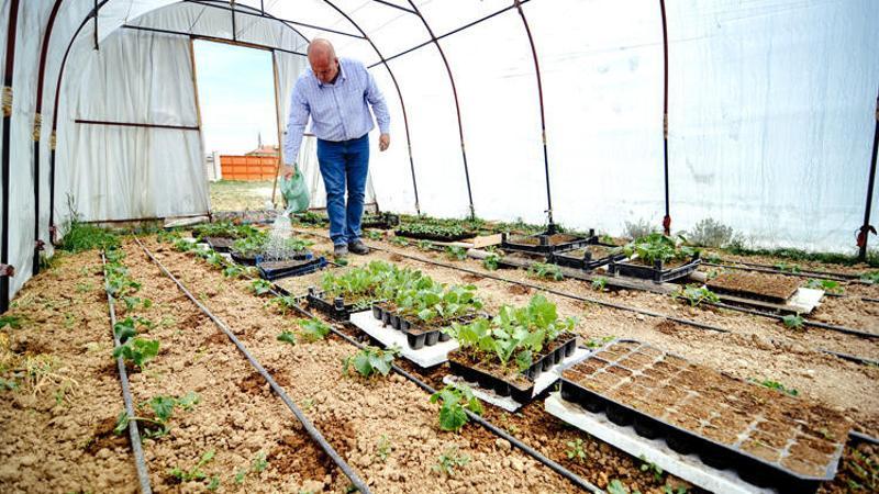 Salgında hobi amaçlı sera kuran mühendis, sebze talebine yetişemez duruma geldi