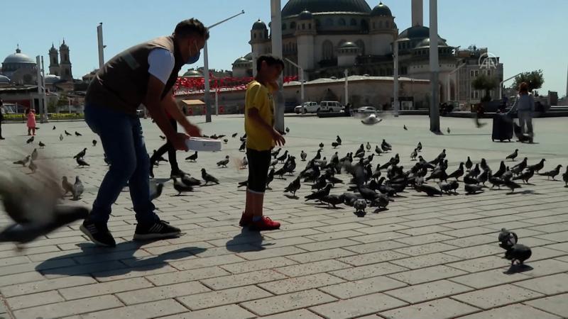 Sokak hayvanlarını her gün yem ve mama ile besliyorlar