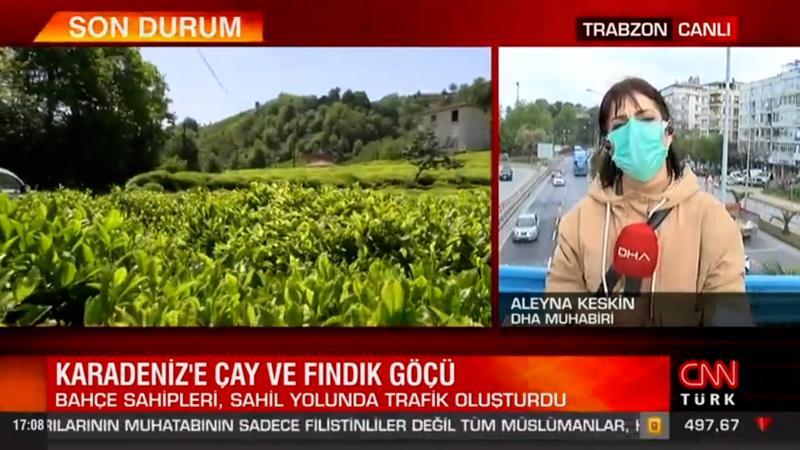 Karadeniz'de çay ve fındık göçü