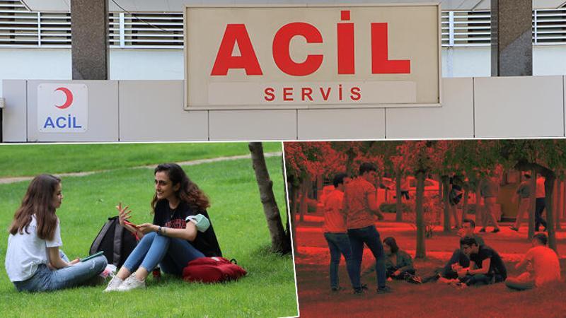 Akrep, yılan ve kene ısırığı vakalarında dikkat! Uzman isim uyardı