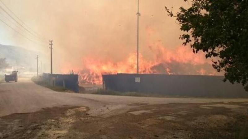 Afyonkarahisar'daki biyokütle enerji tesisinde yangın