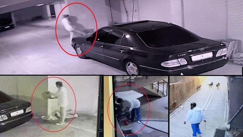 Köpekleri ıslatıp kovalayan öğretim görevlisine 'mala zarar verme' davası