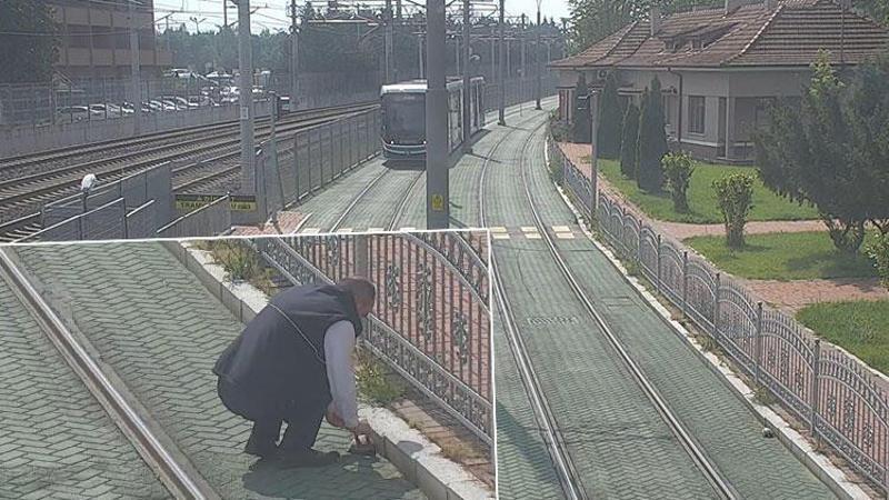 Tramvayı durdurup, kaplumbağayı yolun dışına bıraktı