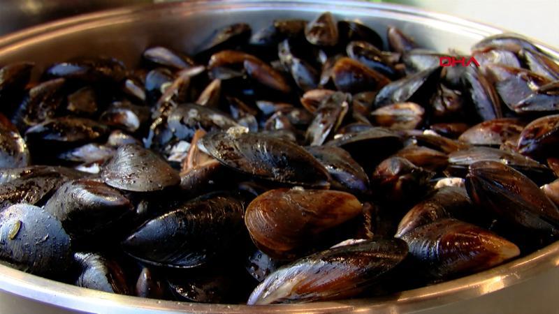 Marmara'nın her köşesinde midye avcıları