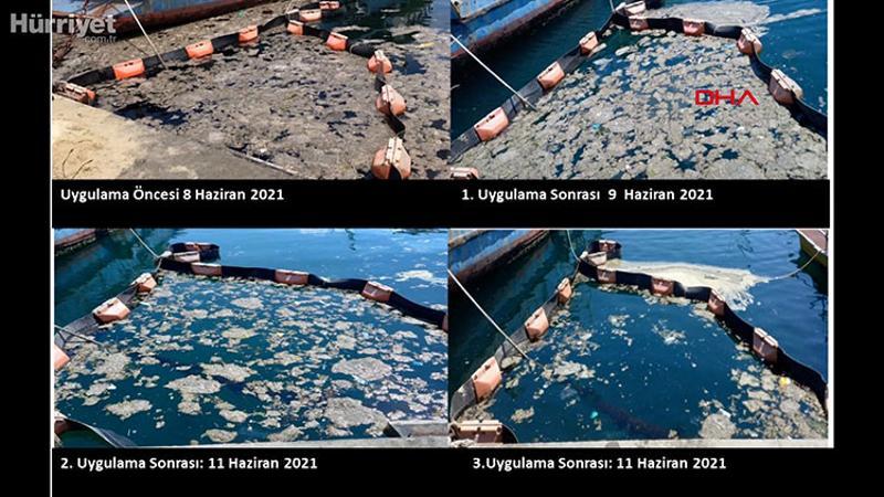 İÜ Su Bilimleri Fakültesi, müsilajı deniz bakterisiyle temizledi