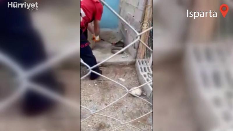 Köpek kulübesine giren yılanı itfaiye ekibi çıkardı