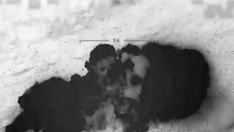 MSB duyurdu! 5 PKK'lı terörist etkisiz hale getirildi