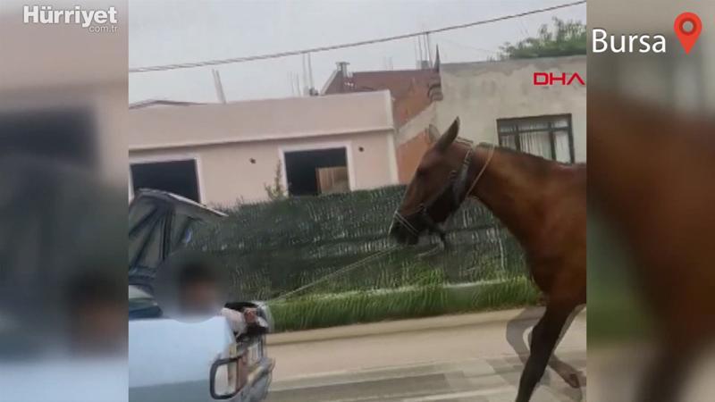Bursa'da otomobilin bagajındaki çocuğun ipe bağlı atı koşturduğu anlar kamerada
