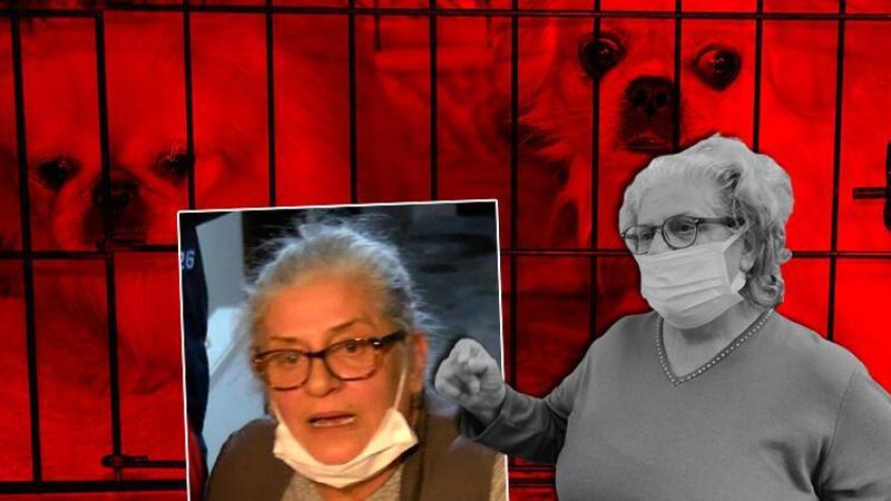 Uygunsuz koşullarda köpek besleyen kadına eşinden tazminat davası