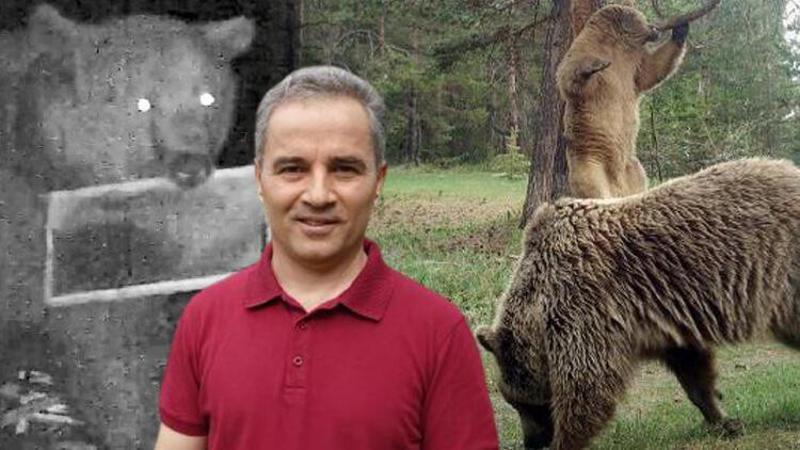 Turistlere 'ayıyı görünce bağırıp şarkı söyleyin' uyarısı